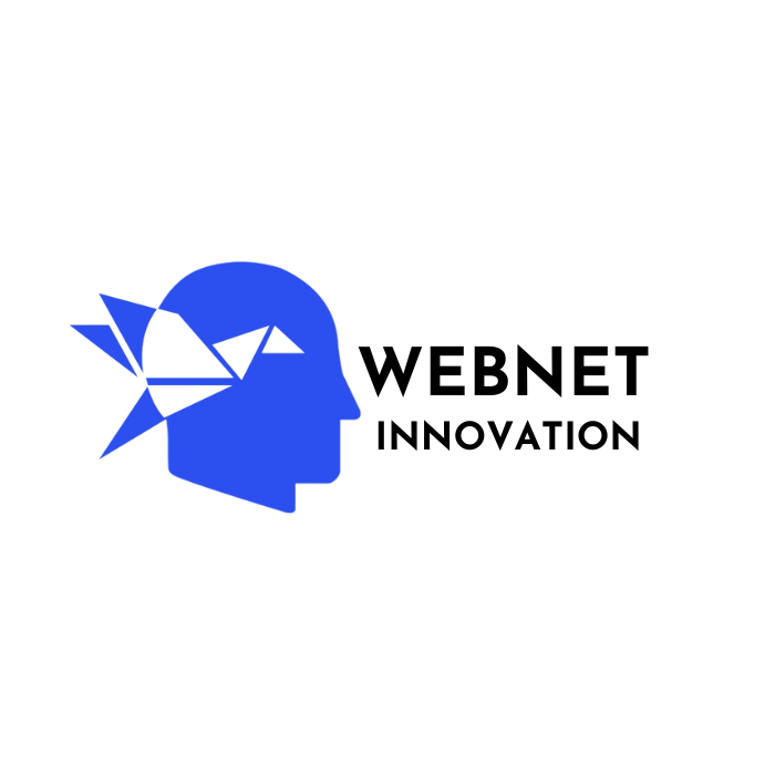 Best Website Designing Company In Delhi NCR- Webnet Innovation
